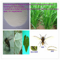 Горячие продажи контроль триазинов инсектицид циромазин 98% tc